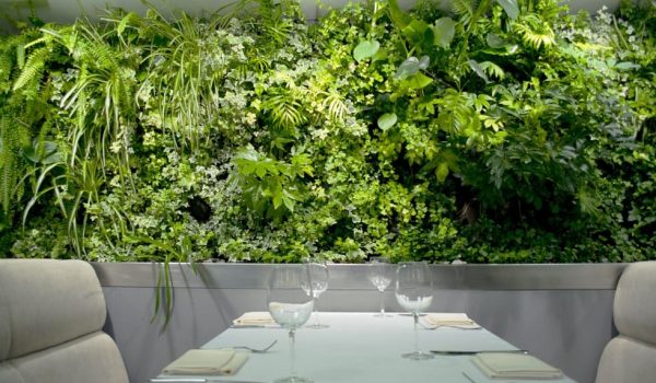 Как из живых или искусственных растений сделать своими руками зеленый уголок в квартире: живая стена из мха, цветов или трав на стенах кухни, зала или спальни