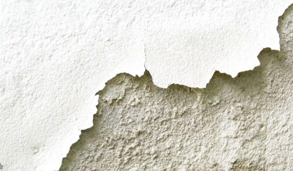 Чем почистить побеленную белую стену перед поклейкой обоев: как смыть побелку со стен быстро и без пыли