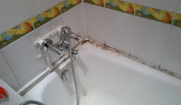 Чем удалить  грибок и плесень между плитками на стене в ванной: эффективные средства от грибка и варианты, как избавиться от плесени в домашних условиях