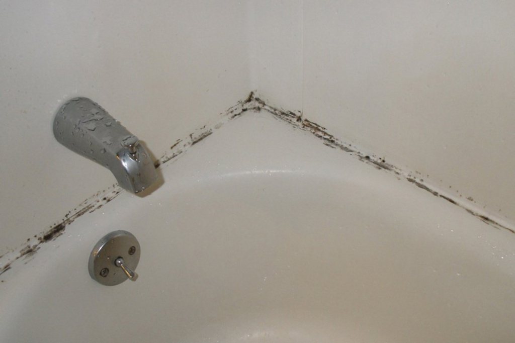 Как вывести грибок на стенах в ванной — советы профессионалов