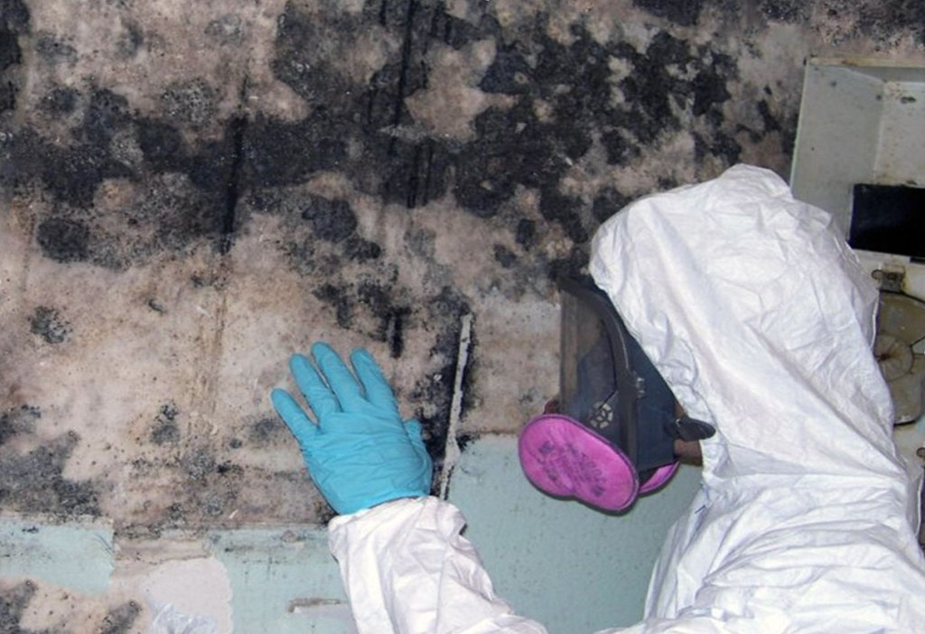 Разводим медный купорос при обработке стен от грибка — основные правила